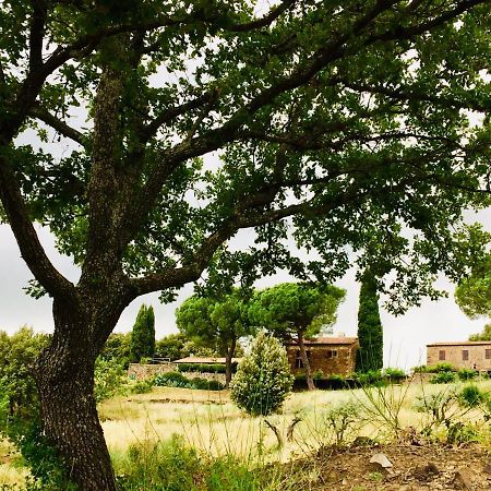 Nocini Di Maremma Tatti Exterior foto