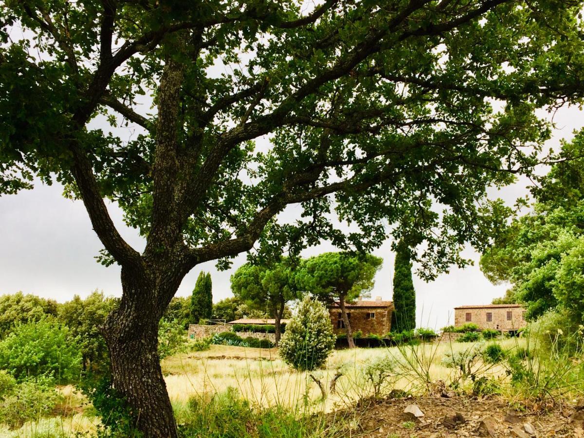 Nocini Di Maremma Tatti Exterior foto