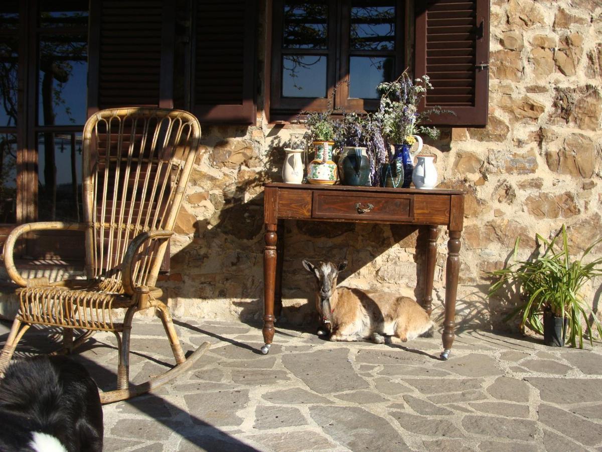 Nocini Di Maremma Tatti Exterior foto