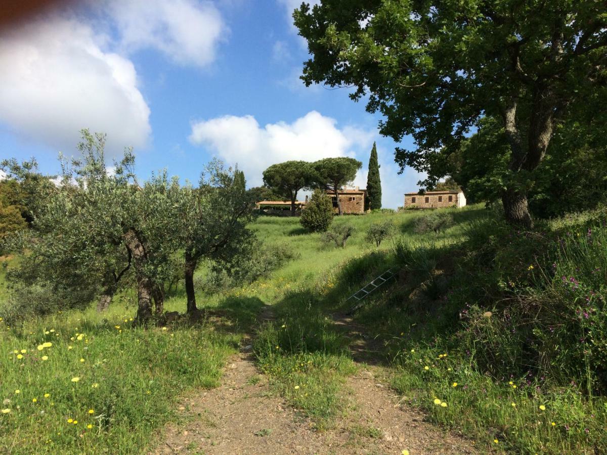 Nocini Di Maremma Tatti Exterior foto